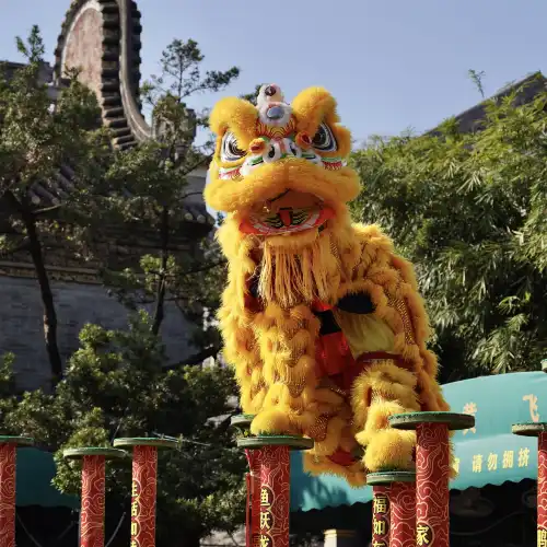 Popular Activities in Foshan