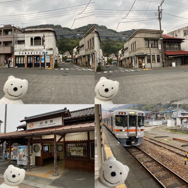 クマ散歩：山北に品行方正なクマ出没