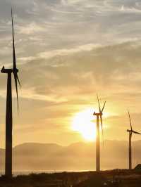 Bangui Wind Farm