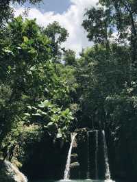 Nature never goes out of style