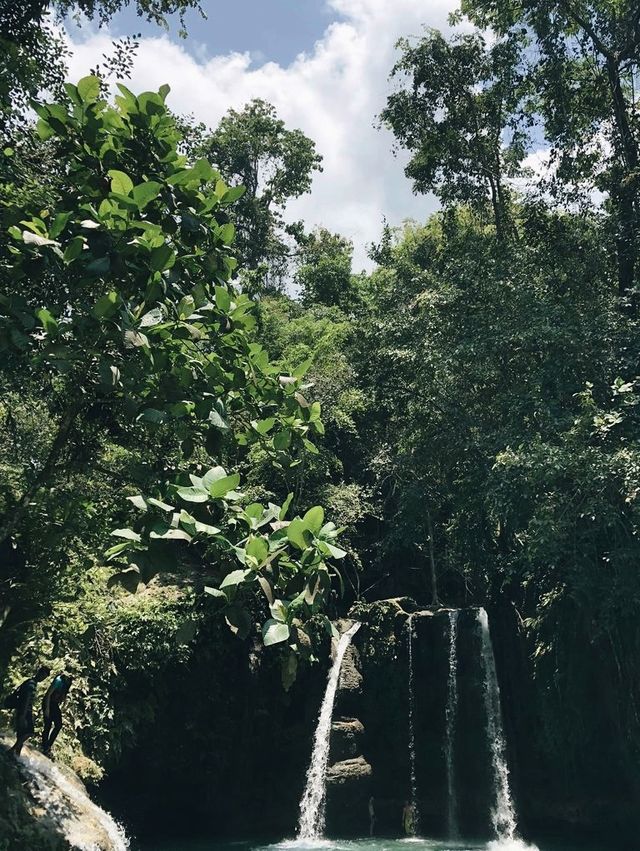 Nature never goes out of style