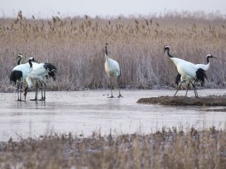 上高地10大最佳頂級飯店排名