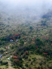 Forest Farm of Tianlu Mountain