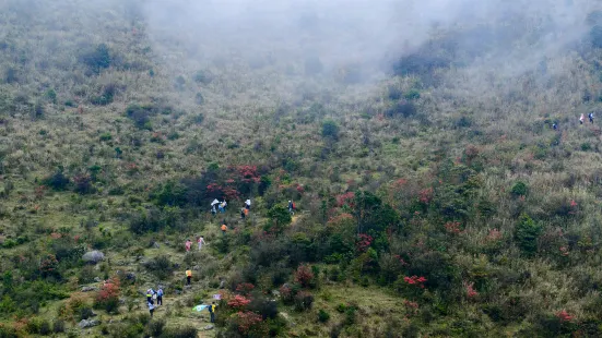 天露山林場