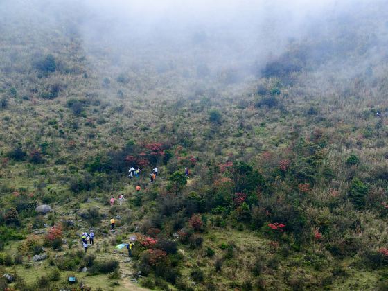 天露山林場