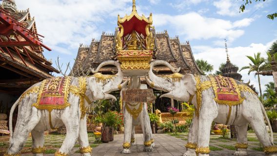 Tour privato di un giorno a XiShuangBanna: giardino della nazionalità Xishuangbanna Dai, monte Jinuo
