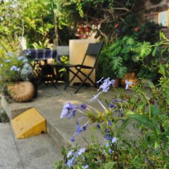 五月花cafe(岩前宝环大道店) User Photo