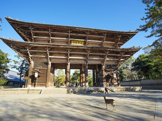 Todai-ji Daibutsuden (Great Buddha Hall)