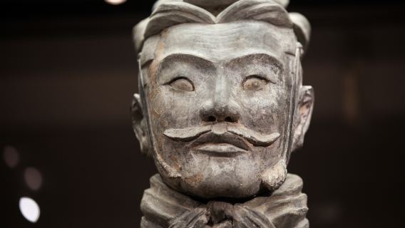 Excursión de un día a los Guerreros de Terracota de Xi'an y la Gran Pagoda del Ganso Salvaje (visita opcional en grupo en inglés)