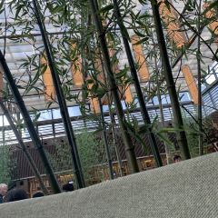 無錫拈花灣君來波羅蜜多酒店·禪食館張用戶圖片