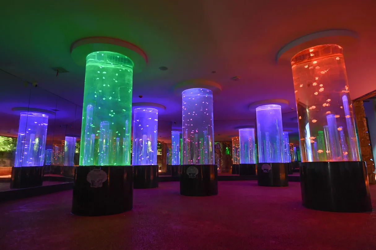 5_Changsha Ecological Zoo