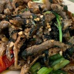 此樓香農莊張用戶圖片
