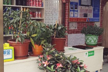 马占海烤肉城第二分店(藏北酒店店)