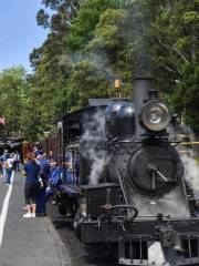 Melbourne Steam Traction Engine Club