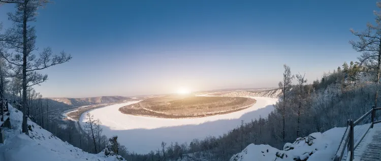 easy leaf & easy life