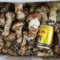 colorful snowland User Photo