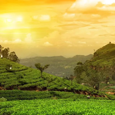 Бутик Отели в г. Гентинг-Хайленд