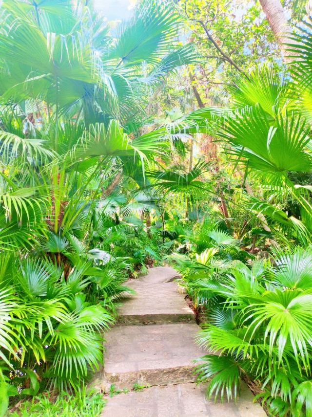 Xiamen Botanical Garden