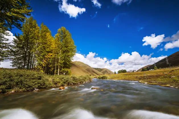 Buhua Yu Inn, Kangding city