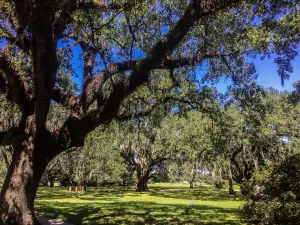 New Orleans City Park