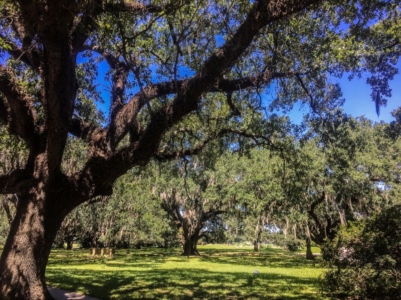 Oak Alley Plantation