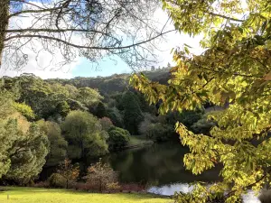 樂富泰山頂