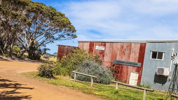 Clifford's Honey Farm