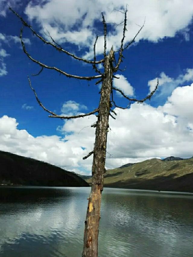 思金拉錯湖