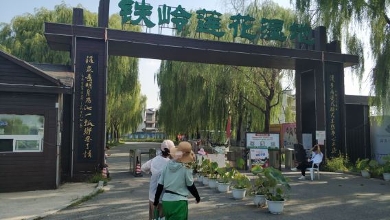 Tieling Lotus Lake Wetland Park