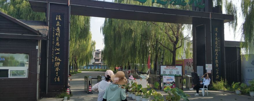 พื้นที่ชุ่มน้ําบัวไทลิ่ง