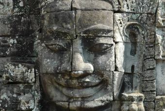 The Sugar Palm User Photo