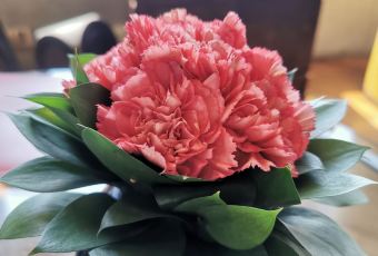 上海柏悅酒店·悅軒張用戶圖片