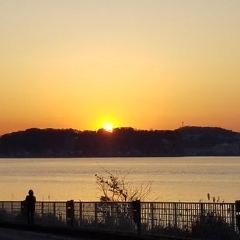 江川海岸旅遊攻略指南 江川海岸評價 江川海岸附近推薦 Trip Com