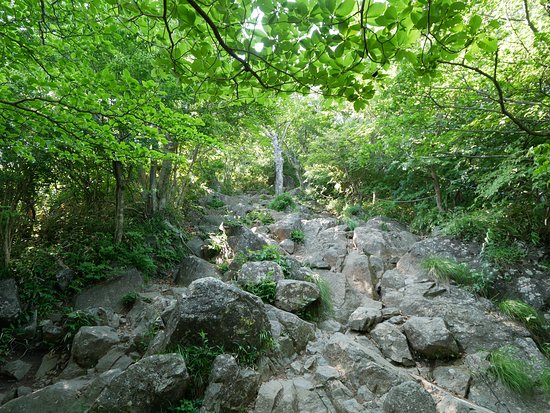 筑波市旅遊攻略指南 筑波市評價 筑波市附近推薦 Trip Com