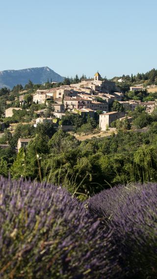 Abbey Notre-Dame de Sénanque + Town View Point Gordes + Sault + France Day Tour [Private Charter Line]