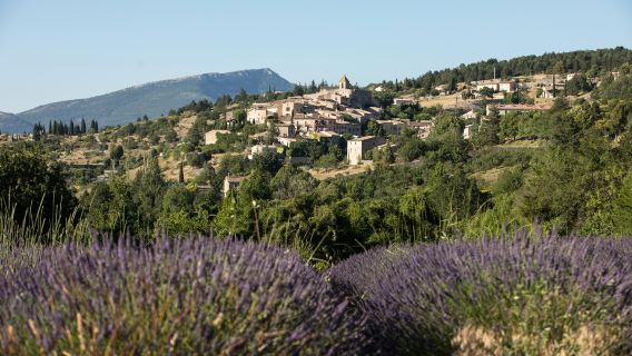 セナンク修道院、ストーンタウン展望台、ソー、フランス日帰りツアー【チャーターチャーター車】