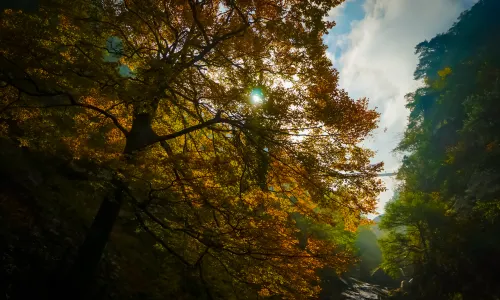 난닝 대명산(다밍산)