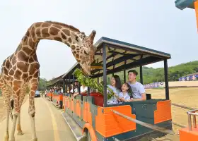 Hangzhou Safari Park