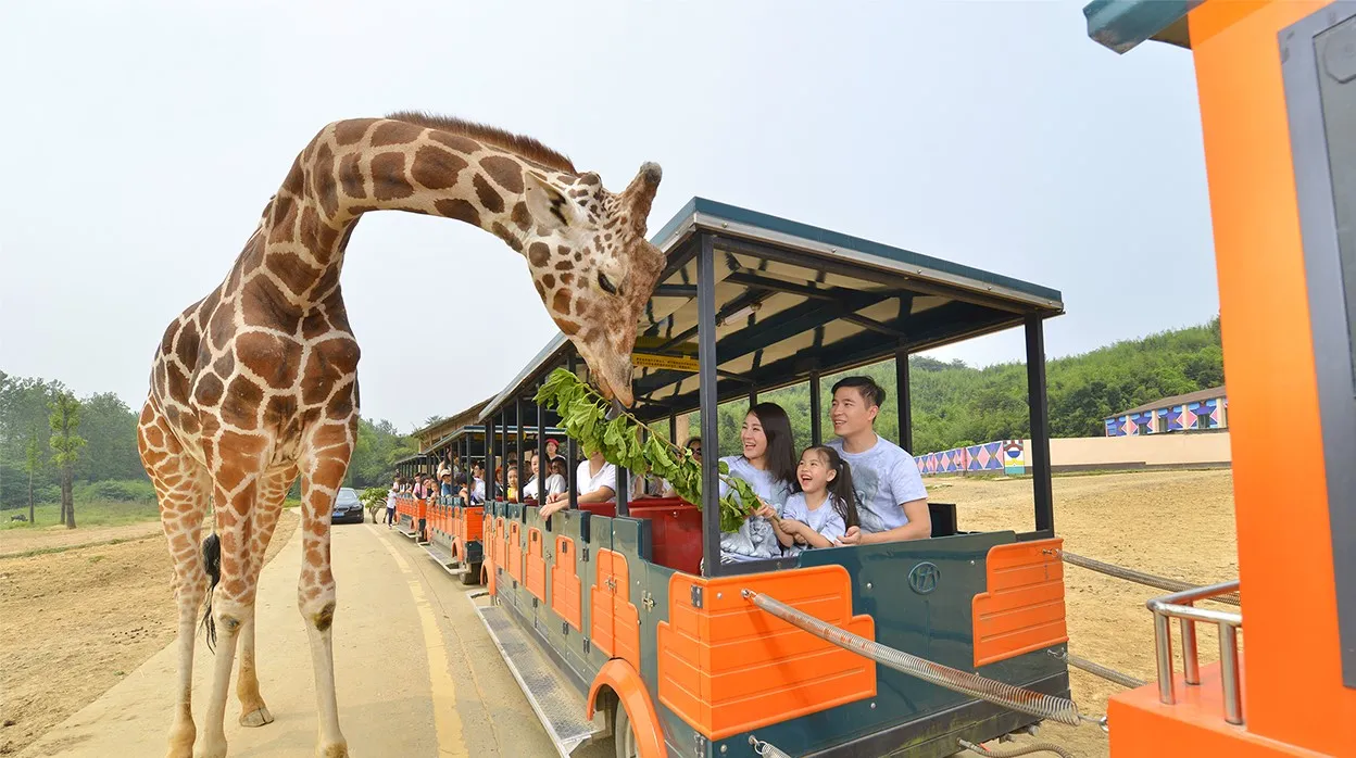 4_杭州野生動物世界