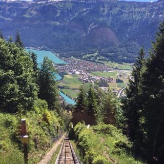 #tripaway
Top of Interlaken 
Harder Kulm is a nice 2.5 hour hike to the top of Interlaken. There are two main trails with small branches and shortcuts . If you want real Swiss mountain and lake scenery you must do this. In the middle of Interlocken, between the two lakes. The Harder Kulm is just incredible and offers the most amazing view of Interlaken. 
#tripaway