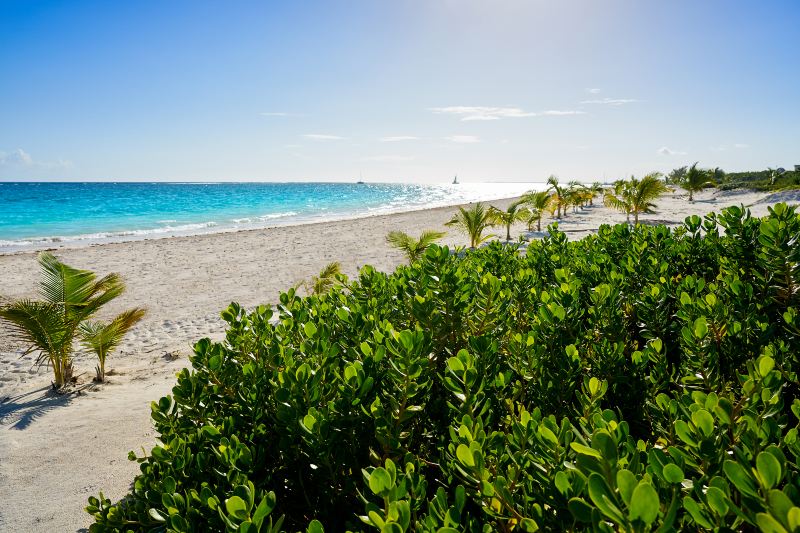 Cancun Beach