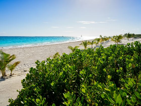 Cancun Beach