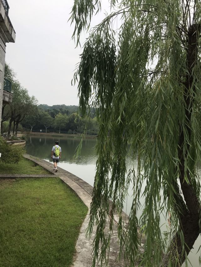 Longbeishan Forest Park