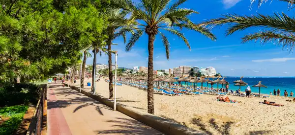 Hotels near Camp de Futbol de Magaluf