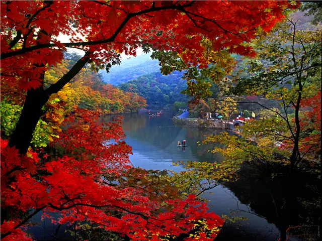Maple Leaf Viewing in Benxi