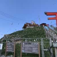 【遊走日本東北】黑尾鷗嘅棲息地，親親海的蕪島神社