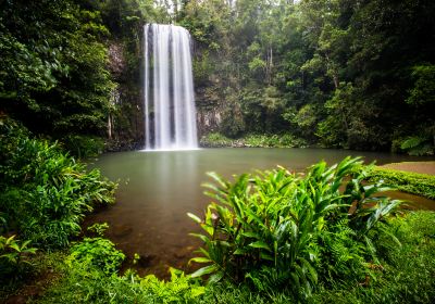 Millaa Millaa Falls