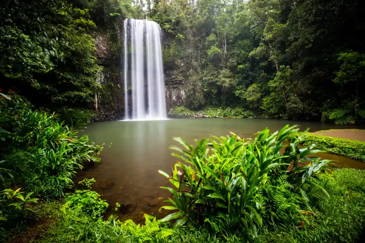 Hôtels à : Millaa Millaa