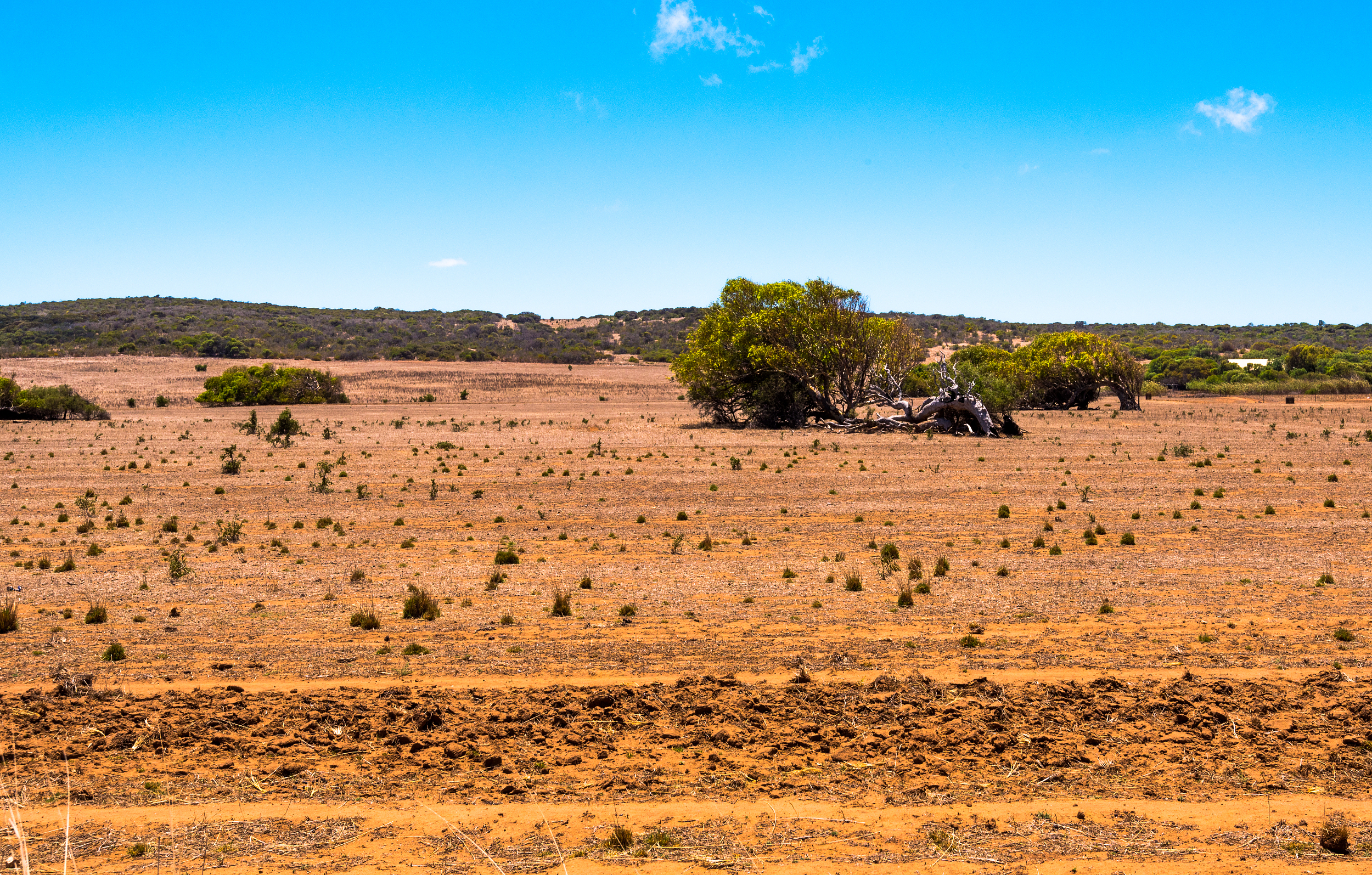 2025 Geraldton Travel Guide: Must-see attractions, popular food, hotels, transportation routes (updated in July)