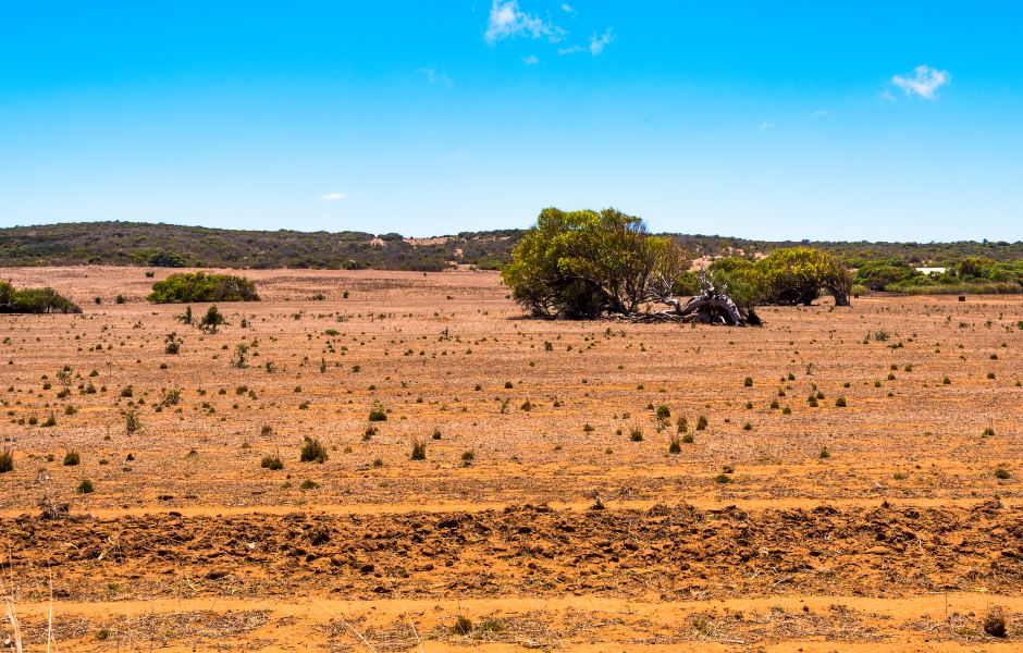 Auckland to Geraldton Flights